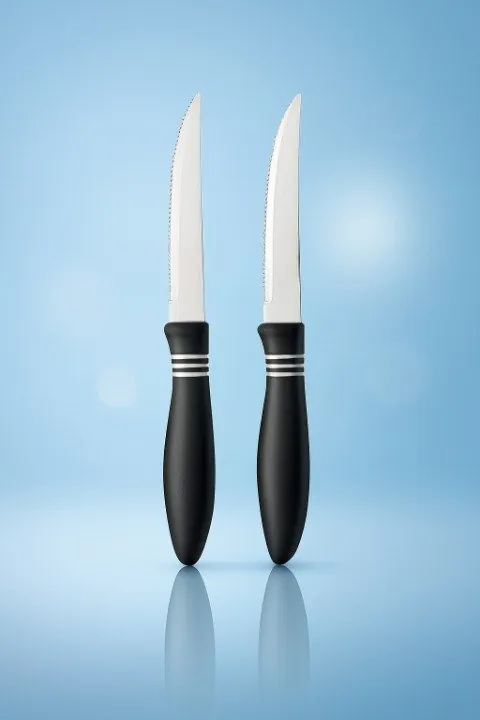 2 Pcs Concord Stainless Steel Kitchen Knife – Multipurpose Table Knife with Serrated Edge, 12 cm (Random color)