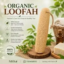 100% Plant-Based Natural Loofah Sponge Set – Biodegradable Body Exfoliator & Bath Accessories by Origin Harvest